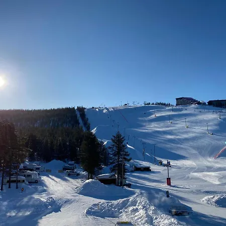 Levin Kunkku B6 Levi