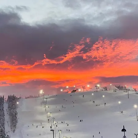 Levin Kunkku B6 Levi