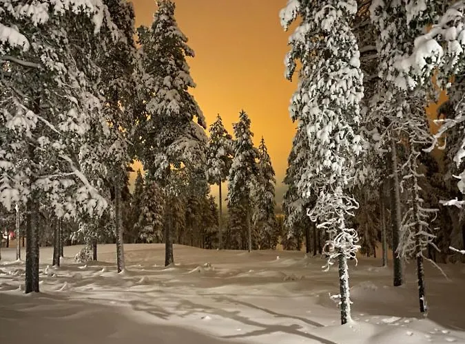 Διαμέρισμα Levin Kunkku B6