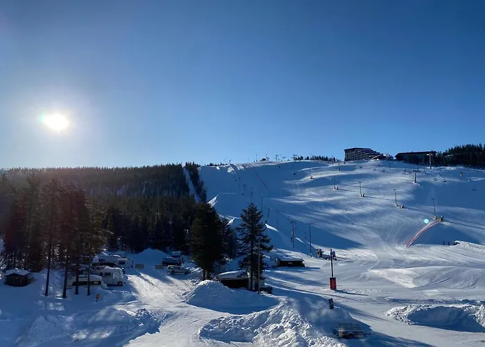 Levin Kunkku B6 Levi