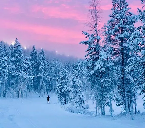 Levin Kunkku B6 Apartament Levi