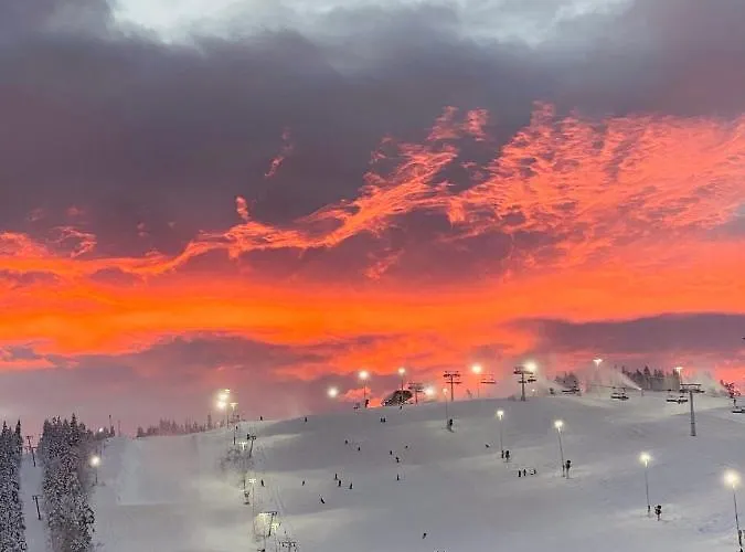 Levin Kunkku B6 Levi